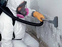 Best Water Damage & Mold Remediation  in Millersville, PA